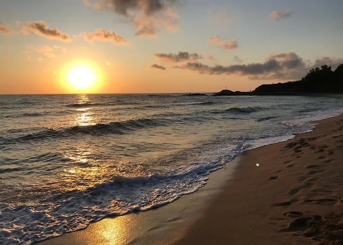 Yanis 3* 로제넷츠