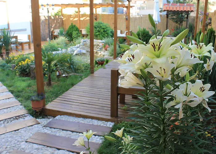 호텔 Yanis 로제넷츠