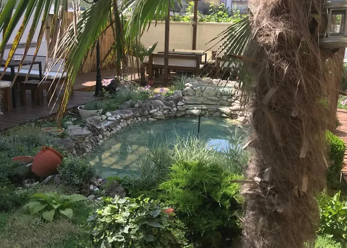 Yanis 3* 로제넷츠